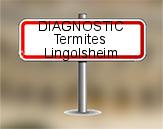 Diagnostic Termite AC Environnement  à Lingolsheim